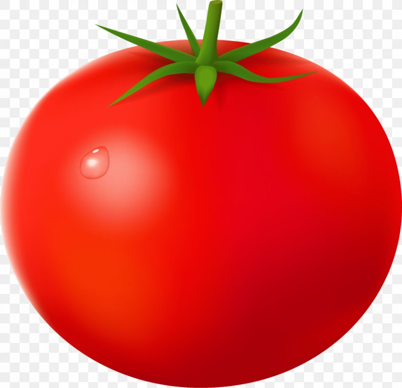 Clip Art Transparency Cherry Tomato Image, PNG, 850x822px, Cherry Tomato, Apple, Bush Tomato, Diet Food, Food Download Free