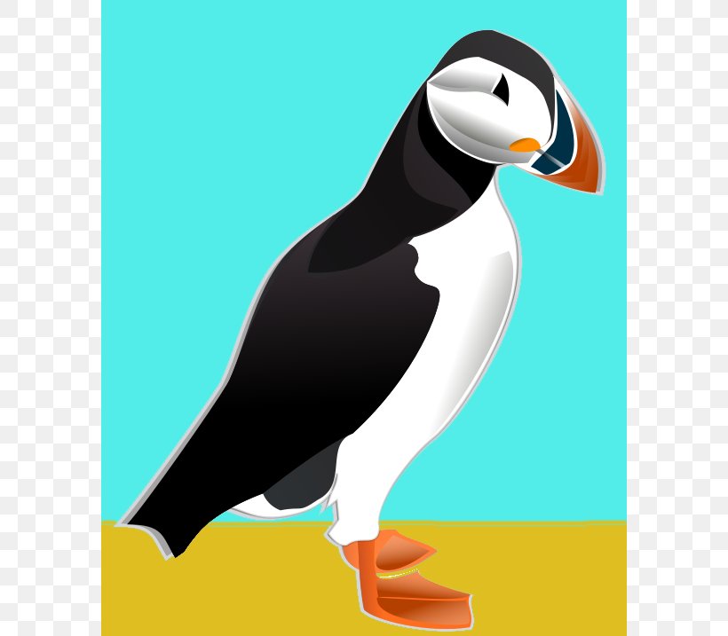 Atlantic Puffin Bird Penguin Horned Puffin Tufted Puffin, PNG, 592x717px, Atlantic Puffin, Animation, Beak, Bird, Cartoon Download Free