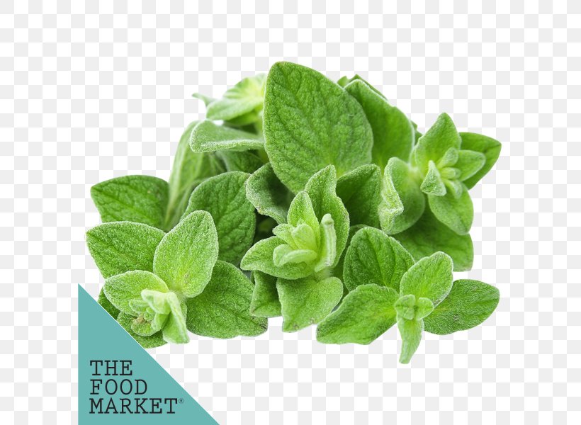 Essential Oil Oregano Aromatherapy Food, PNG, 600x600px, Essential Oil, Aromatherapy, Carrier Oil, Carvacrol, Food Download Free