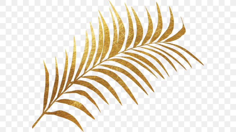 Leaf Fern Gold Plant, PNG, 598x457px, Leaf, Art, Feather, Fern, Gold Download Free