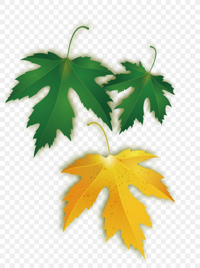 Maple Leaf, PNG, 1342x1800px, Maple Leaf, Architecture, Christmas, Creative Work, Designer Download Free