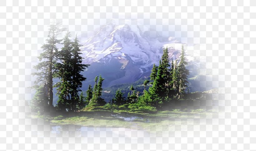 Mount Rainier Nitmiluk National Park Grand Teton National Park, PNG, 708x484px, Mount Rainier, Accommodation, Bed And Breakfast, Biome, Fog Download Free