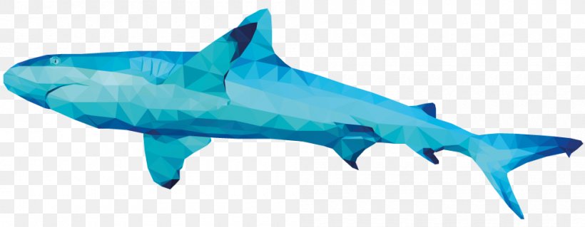 Tiger Shark Great White Shark Squaliform Sharks Lamniformes Marine Mammal, PNG, 1000x390px, Tiger Shark, Animal, Animal Figure, Biology, Carcharhiniformes Download Free