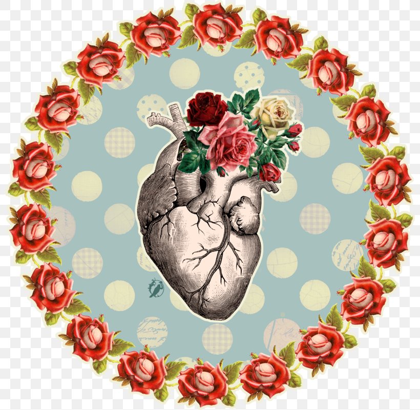 Anatomy Heart Drawing, PNG, 800x801px, Anatomy, Art, Digital Art, Drawing, Floral Design Download Free