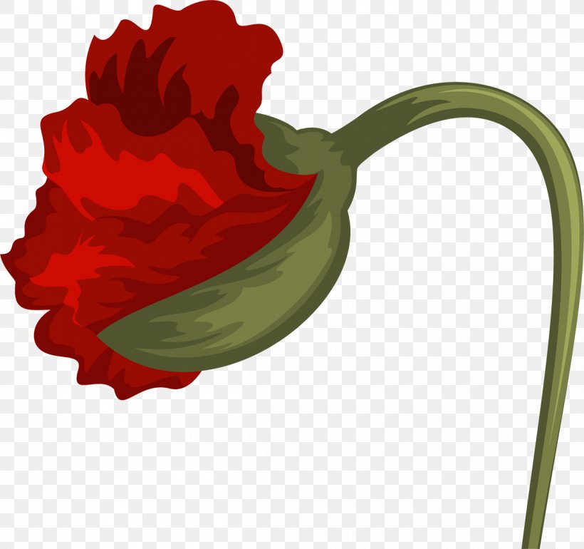 Flowering Plant Google Images Clip Art, PNG, 1200x1127px, Flower, Advertising, Benzersiz, Flowering Plant, Google Images Download Free