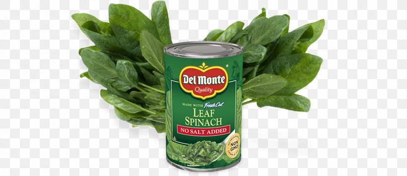 Spinach Product Herb, PNG, 1050x456px, Spinach, Food, Herb, Leaf Vegetable, Plant Download Free