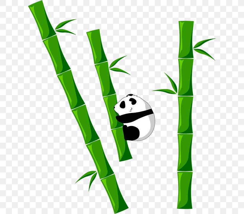 Tropical Woody Bamboos Giant Panda Food Clip Art, PNG, 632x720px, Tropical Woody Bamboos, Bamboo, Cuisine, Food, Giant Panda Download Free