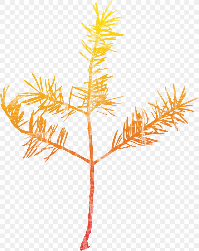 Twig Text Leaf Illustration, PNG, 1965x2474px, Branch, Clip Art, Flowering Plant, Illustration, Leaf Download Free