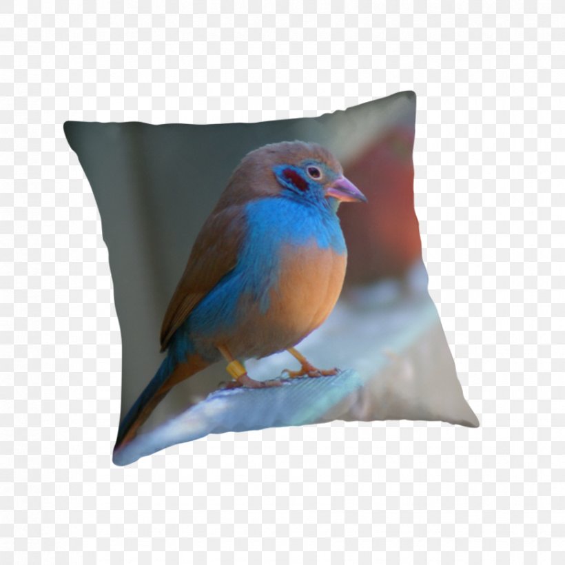 Wren Cushion Pillow Feather Beak, PNG, 875x875px, Wren, Beak, Bird, Bluebird, Cushion Download Free