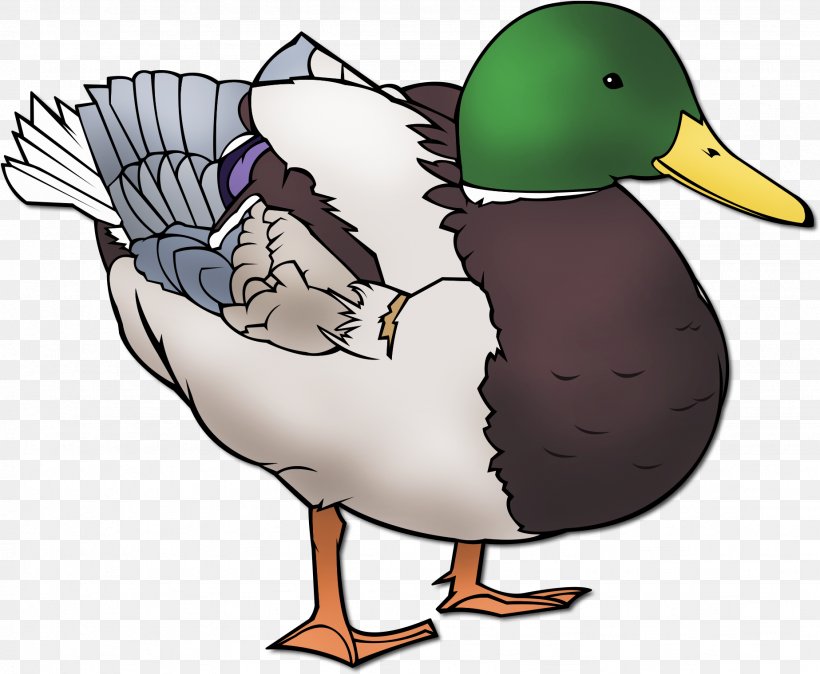 Daffy Duck Swans Goose Mallard, PNG, 1847x1520px, Duck, American Black Duck, Animal, Beak, Bird Download Free