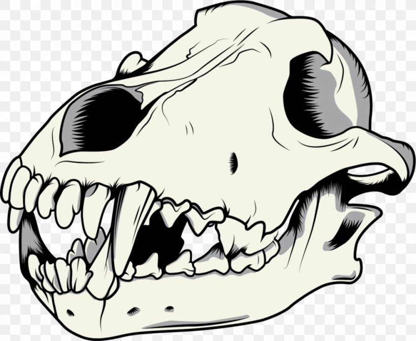 Gray Wolf Drawing Skull, PNG, 987x810px, Gray Wolf, Art, Artwork, Black And White, Bone Download Free