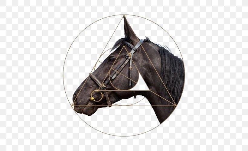 Horse Harness Stallion Halter, PNG, 500x500px, Horse, Bit, Bridle, Halter, Horse Harness Download Free