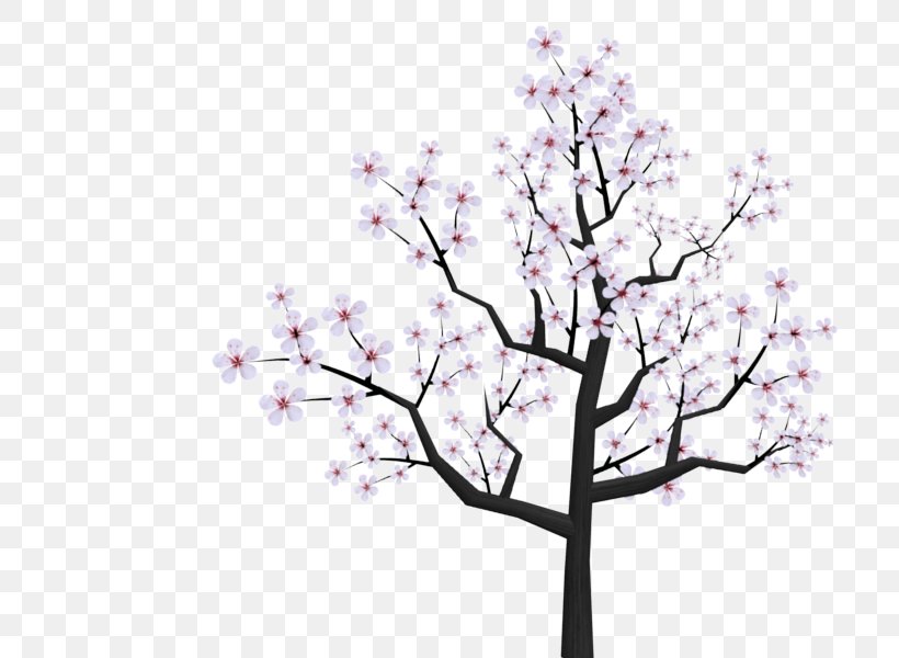 National Cherry Blossom Festival Drawing Clip Art, PNG, 800x600px, National Cherry Blossom Festival, Blossom, Branch, Cartoon, Cherry Download Free