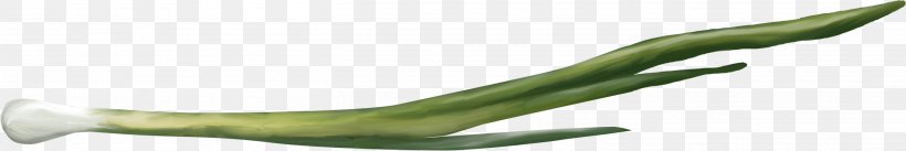 Onion Vegetable Clip Art, PNG, 2716x454px, Onion, Allium, Animal Figure, Creativity, Grass Download Free