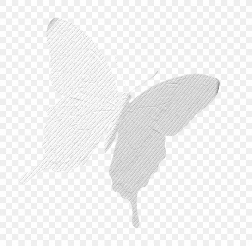 Butterfly Moth White, PNG, 2000x1949px, Butterfly, Arthropod, Black, Black And White, Insect Download Free