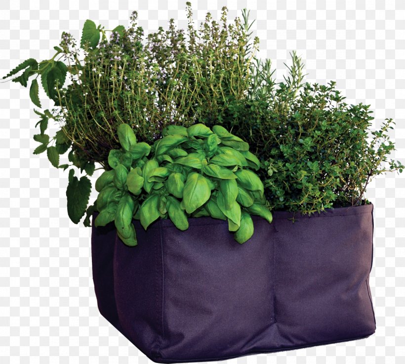 Herb Flowerpot, PNG, 1181x1061px, Herb, Flowerpot, Grass, Plant Download Free