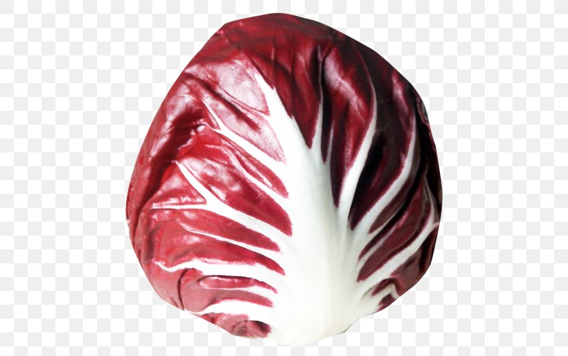 Radicchio Di Chioggia Vegetable Chicory Salad, PNG, 500x514px, Chioggia, Chicory, Cornichon, Kitchen Garden, Lettuce Download Free