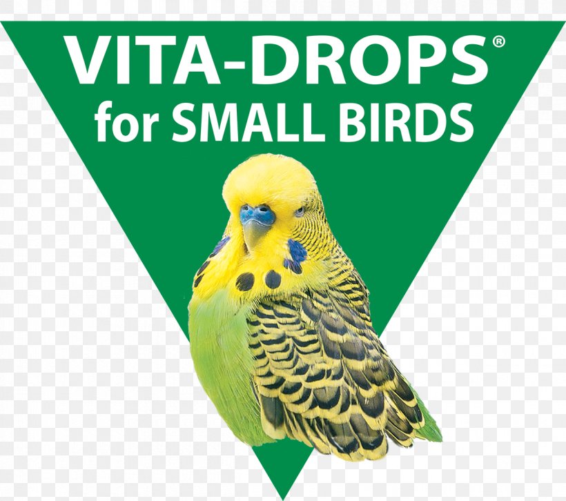 Bird Parakeet Beak Graphics Fauna, PNG, 1200x1063px, Bird, Beak, Bird Supply, Common Pet Parakeet, Fauna Download Free
