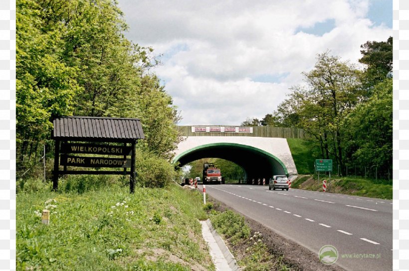 Concrete Bridge Concrete Bridge Bridge–tunnel Reconfigurable Optical Add-drop Multiplexer, PNG, 980x650px, Bridge, Concrete, Concrete Bridge, Fixed Link, Grass Download Free