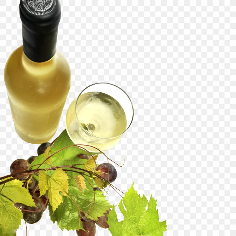White Wine Red Wine Common Grape Vine, PNG, 1024x1024px, White Wine, Alcoholic Drink, Alternative Medicine, Bottle, Common Grape Vine Download Free