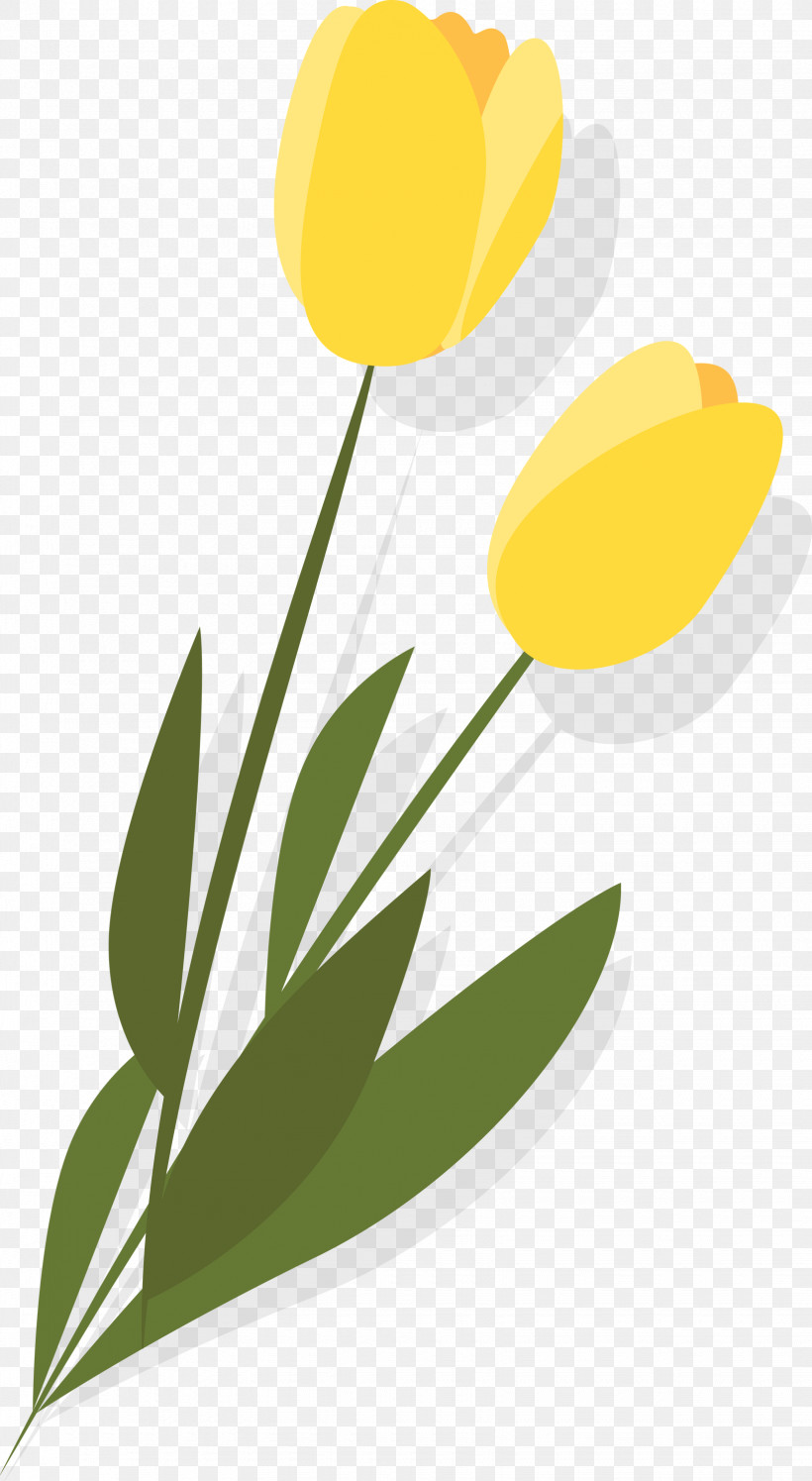 Yellow Tulip Flower Plant Leaf, PNG, 1645x3000px, Yellow, Flower, Leaf, Logo, Plant Download Free