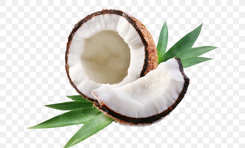 Coconut Milk Coconut Oil Thai Cuisine, PNG, 658x495px, Coconut Milk, Almond Oil, Butter, Coconut, Coconut Cream Download Free