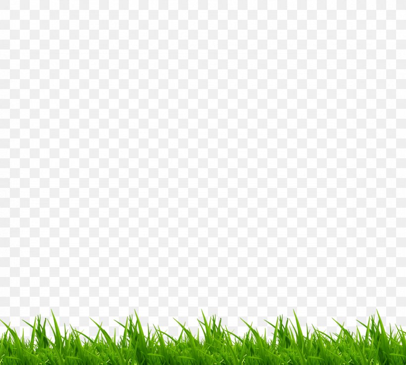 Green Grass, PNG, 1181x1063px, Lawn, Grass, Green, Meadow, Pattern Download Free