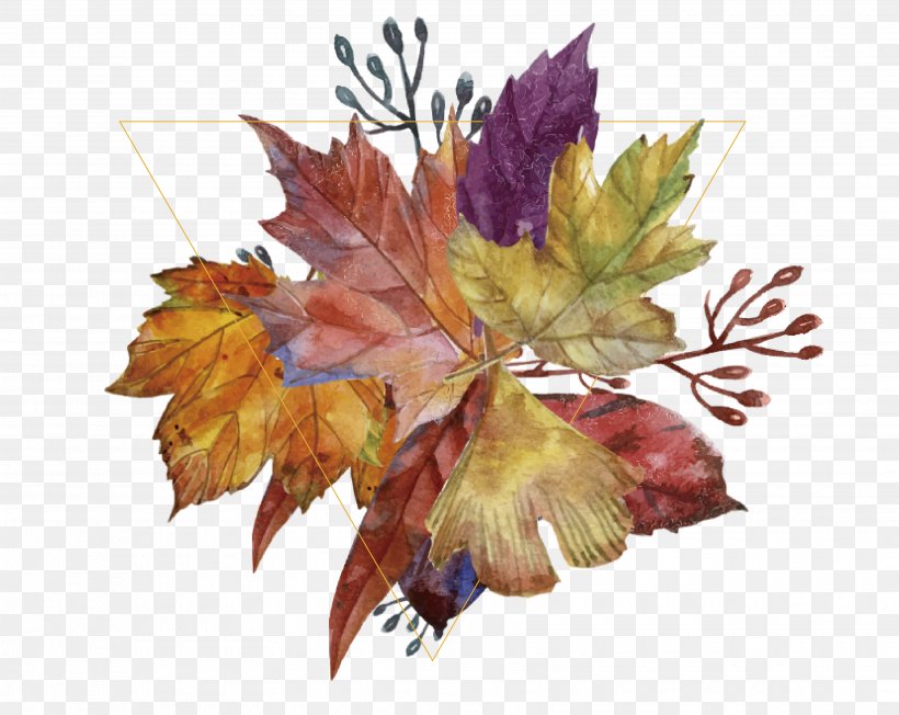 Leaf Autumn, PNG, 3520x2800px, Leaf, Autumn, Autumn Leaf Color, Flowering Plant, Gratis Download Free