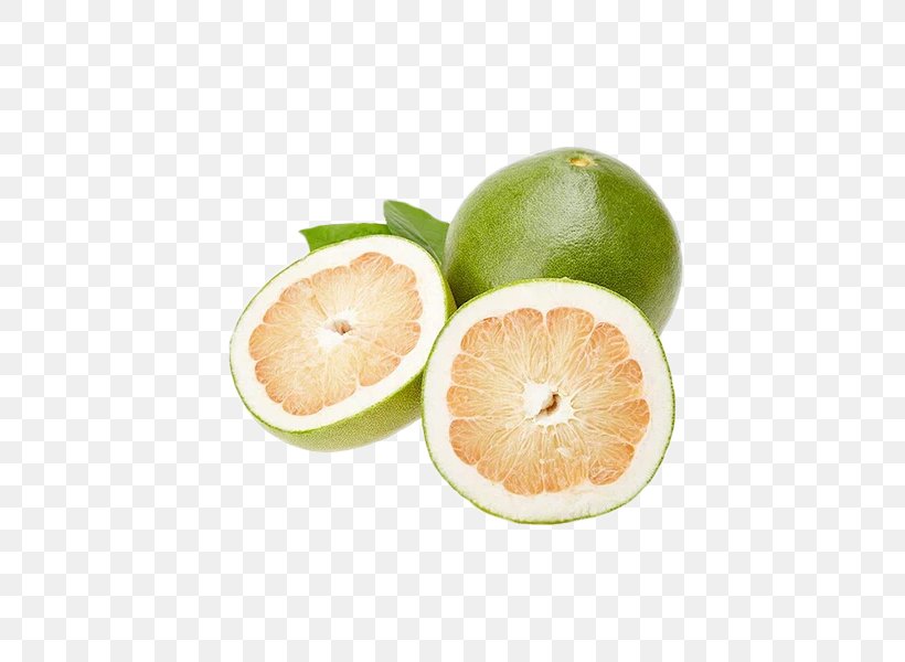 Pomelo Key Lime Grapefruit Persian Lime, PNG, 600x600px, Pomelo, Auglis, Bergamot Orange, Citric Acid, Citrus Download Free