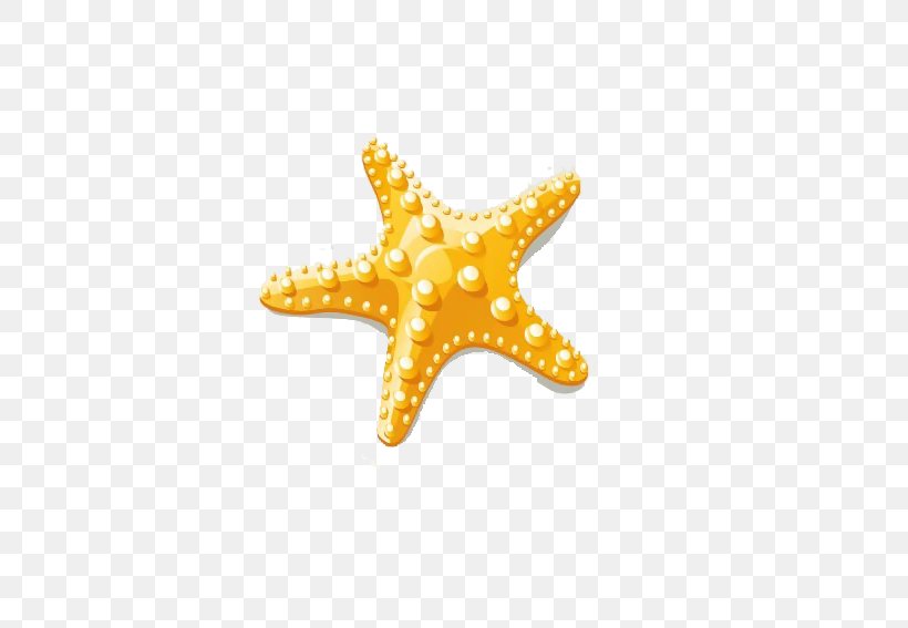 Starfish Euclidean Vector Clip Art, PNG, 567x567px, Starfish, Beach, Cartoon, Echinoderm, Hotel Download Free