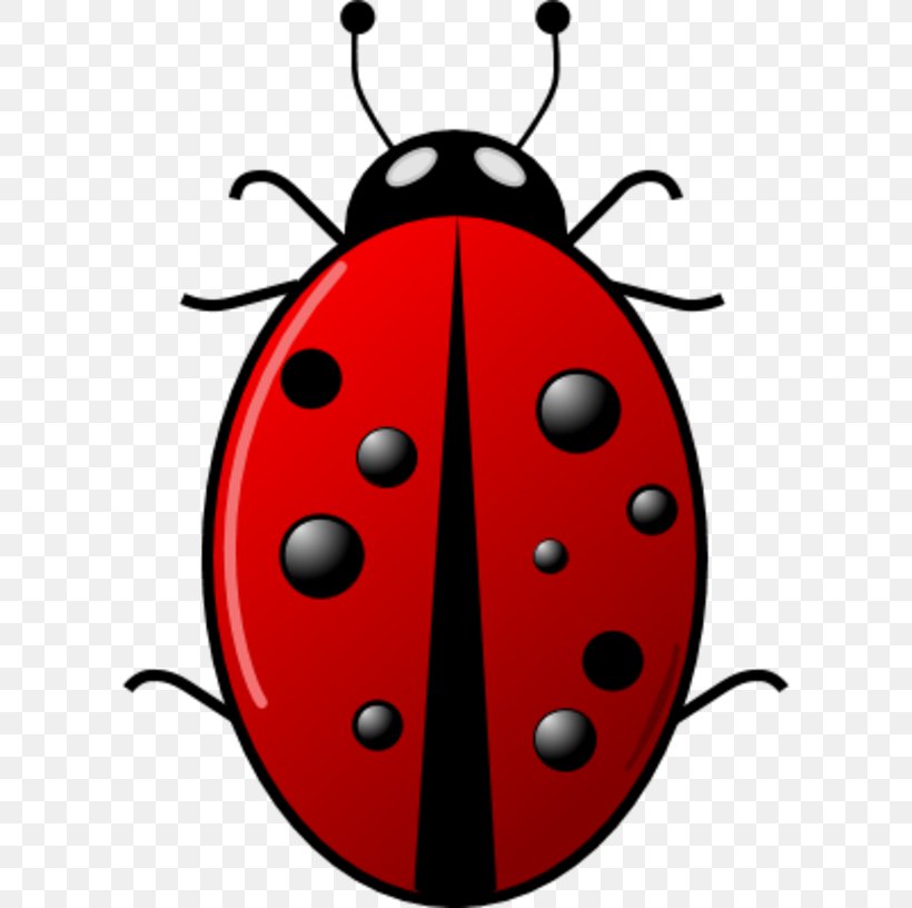 Beetle Ladybird Green Clip Art, PNG, 600x816px, Beetle, Artwork, Blog, Free Content, Green Download Free