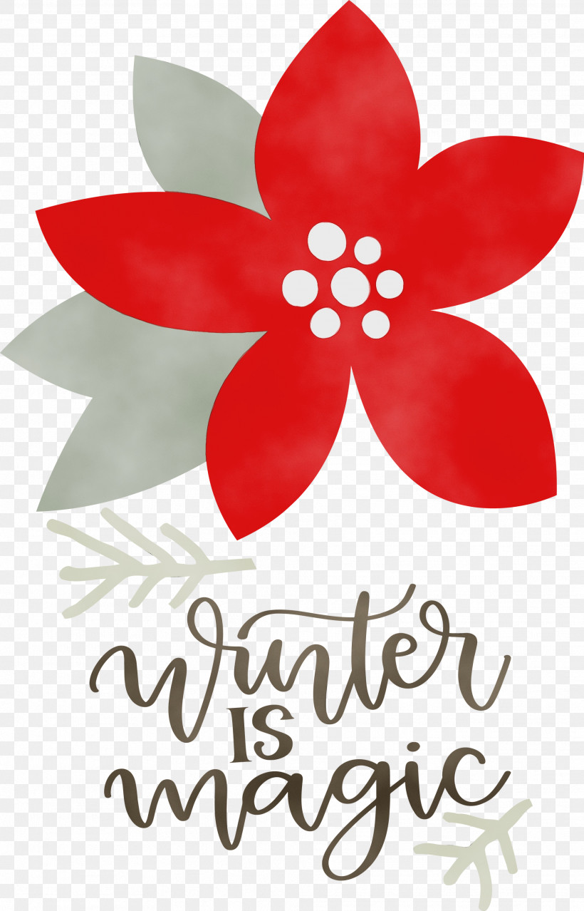 Floral Design, PNG, 1924x3000px, Winter Is Magic, Biology, Cut Flowers, Floral Design, Flower Download Free