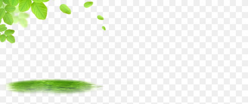 Green Pattern, PNG, 950x400px, Green, Computer, Grass, Leaf, Rectangle Download Free