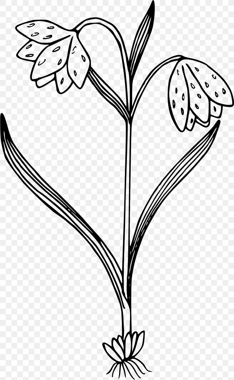 Black And White Wildflower Clip Art, PNG, 1479x2400px, Watercolor, Cartoon, Flower, Frame, Heart Download Free