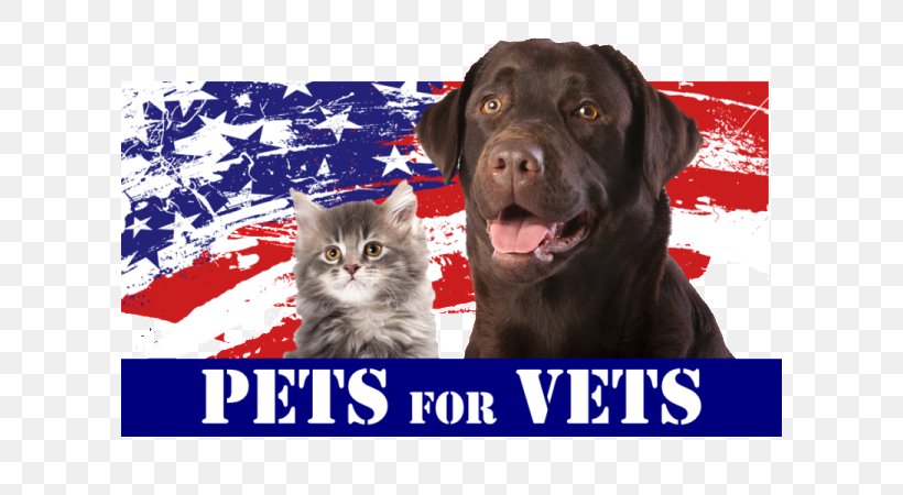 Dog Pets For Vets United States Animal Shelter, PNG, 600x450px, Dog, Animal, Animal Shelter, Animal Welfare, Art Download Free