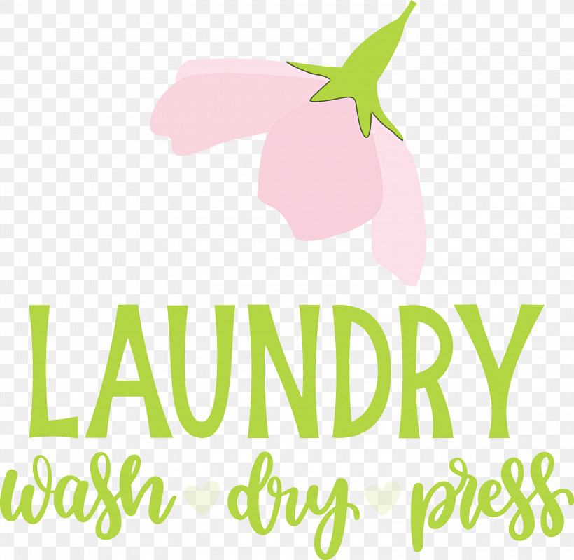 Laundry Wash Dry, PNG, 3000x2924px, Laundry, Dry, Flower, Green, Leaf Download Free