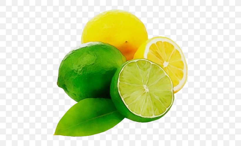 Lime Citrus Persian Lime Key Lime Lemon, PNG, 500x500px, Watercolor, Citric Acid, Citrus, Fruit, Green Download Free