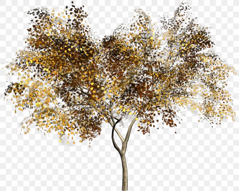 Twig Clip Art Tree Adobe Photoshop, PNG, 1200x961px, Twig, Autumn, Branch, Plant, Shrub Download Free