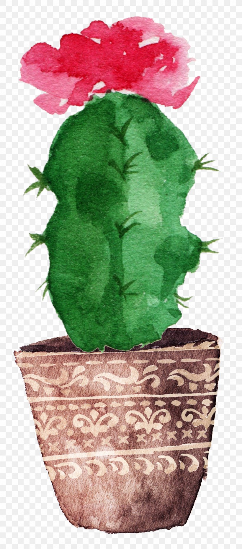 Cactaceae Watercolor Painting Drawing Canvas, PNG, 1149x2602px, Cactaceae, Art, Cactus, Canvas, Canvas Print Download Free