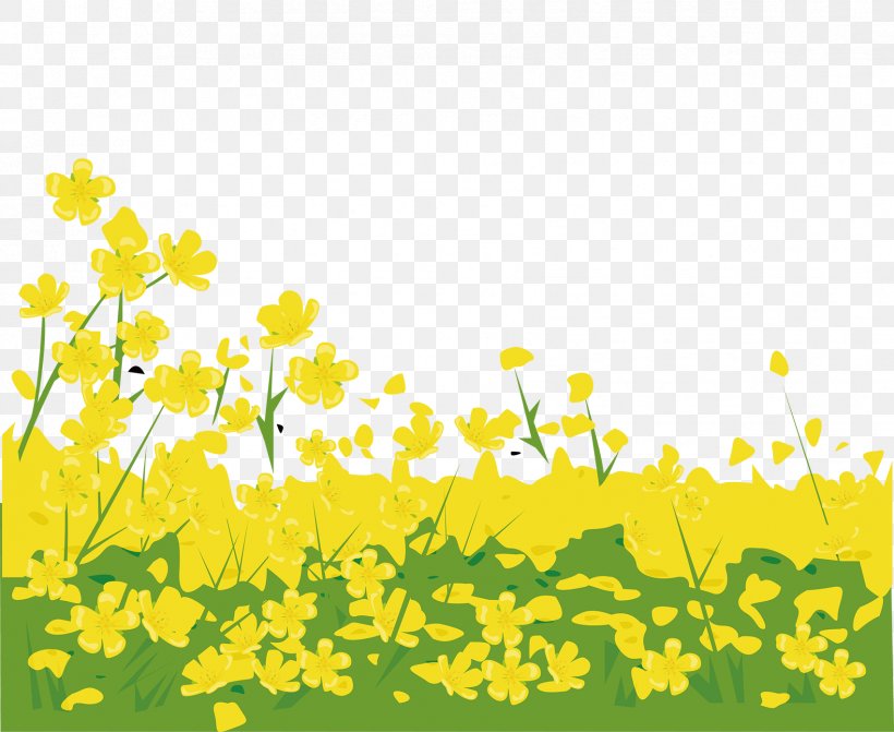 Flower, PNG, 1701x1392px, Flower, Border, Branch, Canola, Field Download Free