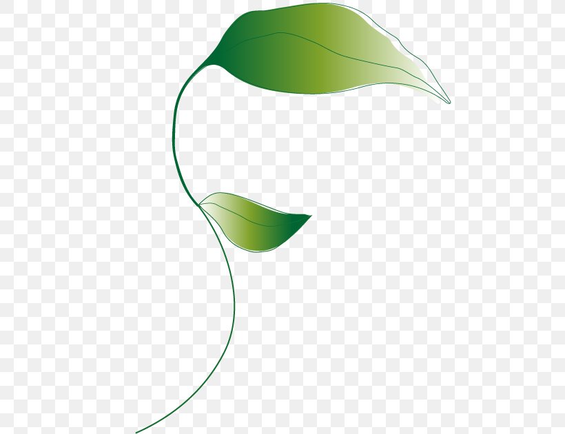 Leaf Green Clip Art, PNG, 500x630px, Leaf, Flower, Grass, Green, Plant Download Free