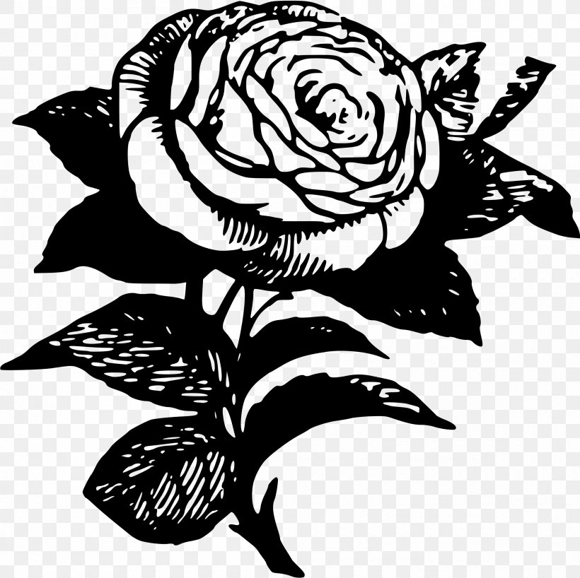 Rose T-shirt Drawing Clip Art, PNG, 2400x2396px, Rose, Art, Artwork, Black, Black And White Download Free