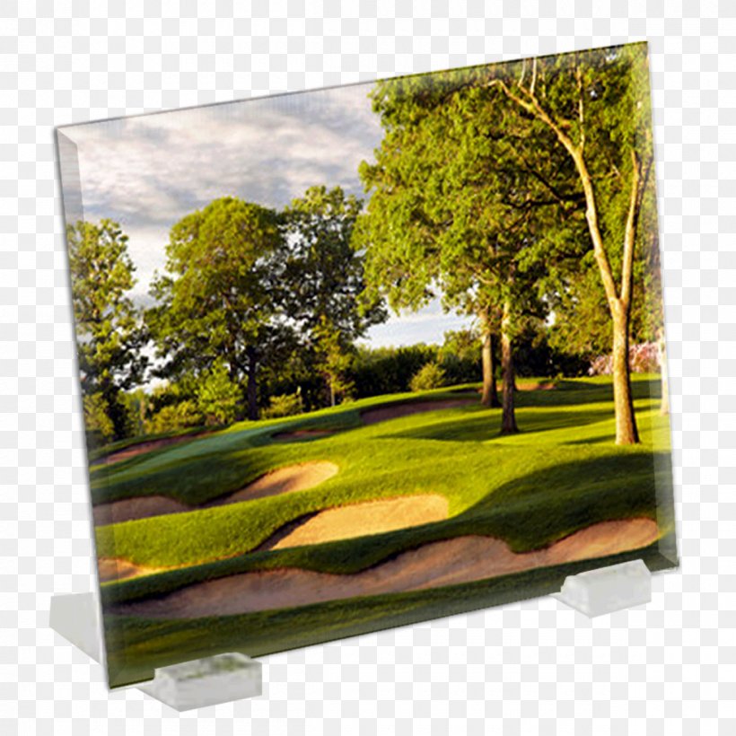 Television Set Picture Frames Rectangle, PNG, 1200x1200px, Television Set, Display Device, Grass, Landscape, Media Download Free