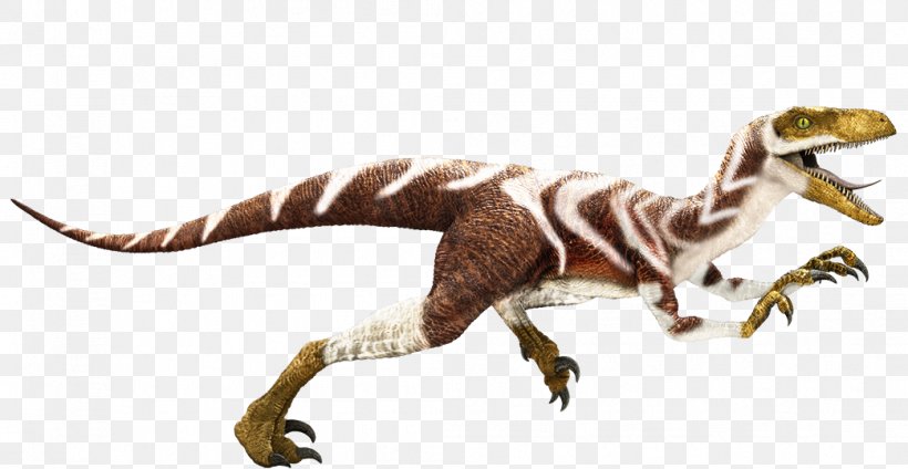 Apatosaurus Velociraptor Dinosaur King Baryonyx Edmontosaurus, PNG, 1043x540px, Apatosaurus, Alioramus, Animal Figure, Baryonyx, Brontosaurus Download Free