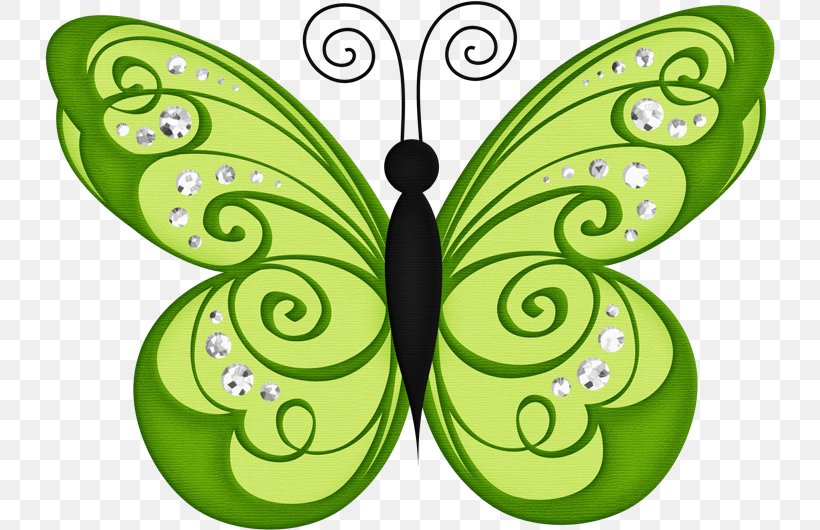 Butterfly Clip Art, PNG, 730x530px, Butterfly, Art, Brush Footed Butterfly, Computer, Green Download Free