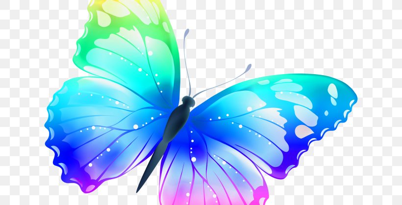 Butterfly Desktop Wallpaper Clip Art, PNG, 640x420px, Butterfly, Aqua, Arthropod, Azure, Blue Download Free