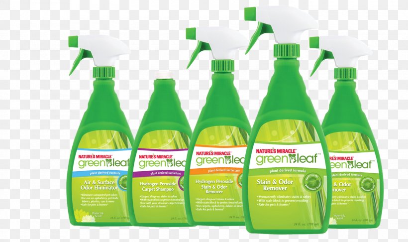 Cleaning Agent Environmentally Friendly Green Cleaning Pet, PNG, 1600x950px, Cleaning Agent, Biodegradation, Bottle, Carpet, Carpet Cleaning Download Free