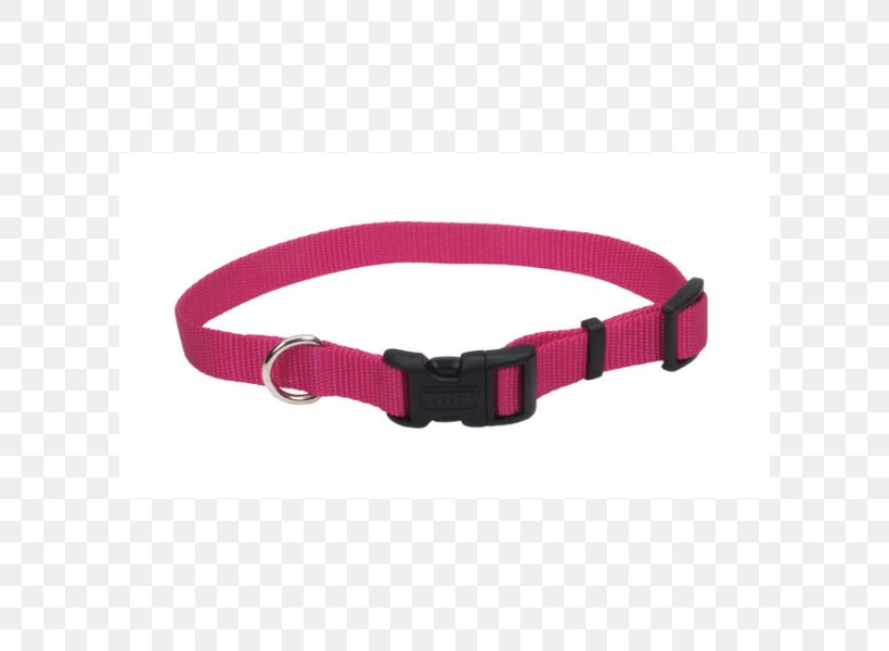 Dog Collar Leash Pet, PNG, 600x600px, Dog, Belt, Belt Buckle, Bird, Buckle Download Free