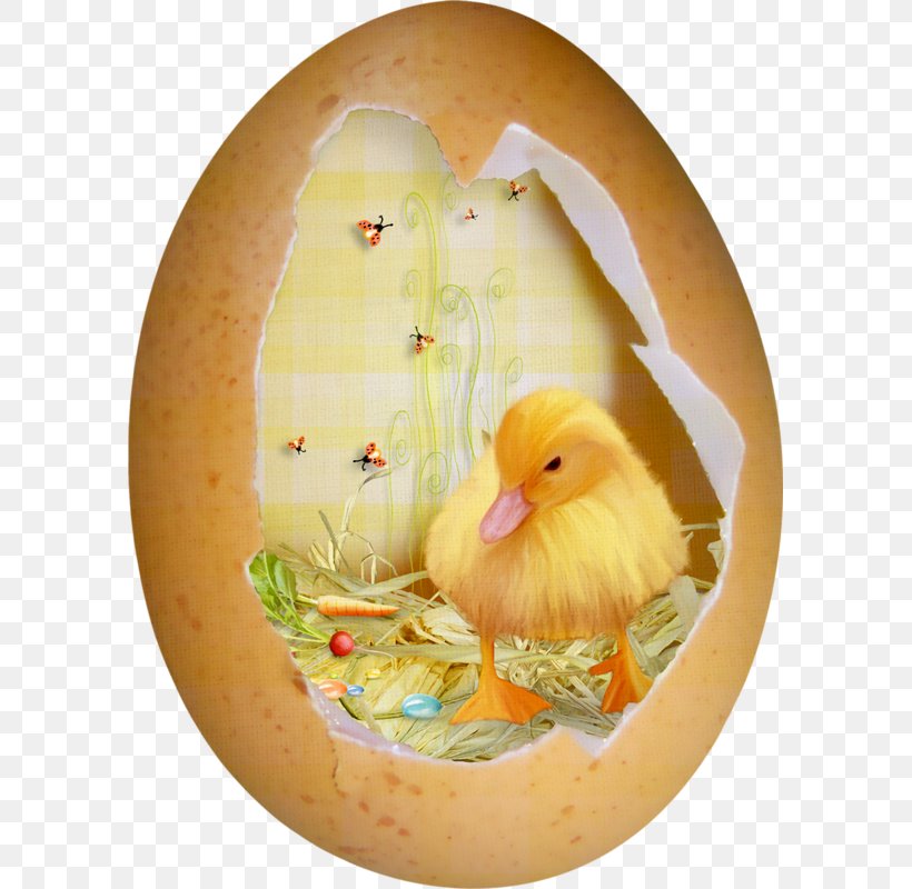 Duck Easter Eggshell, PNG, 589x800px, Duck, Beak, Easter, Easter Egg, Egg Download Free