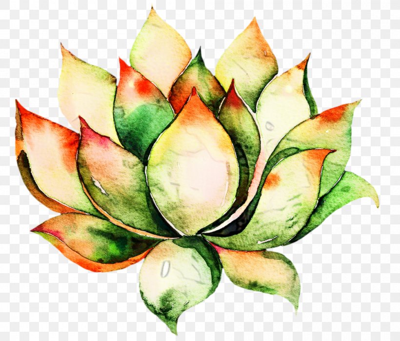 Flower Art Watercolor, PNG, 1000x853px, Watercolor Painting, Cactus, Cactus And Succulents, Drawing, Echeveria Download Free